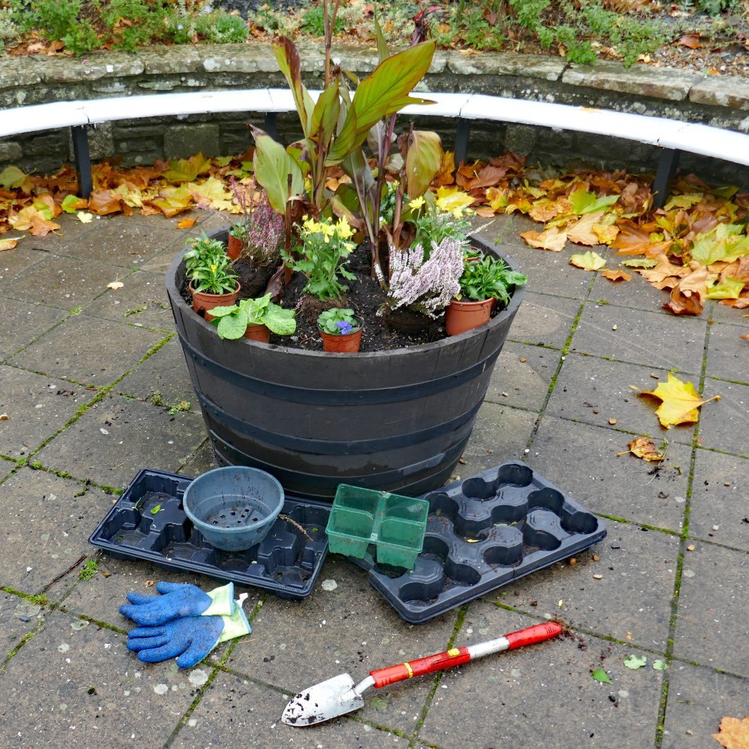 New winter bedding went in today! #kingsbridgeinbloom #lovekingsbridge @RHSBloom #bloomhour