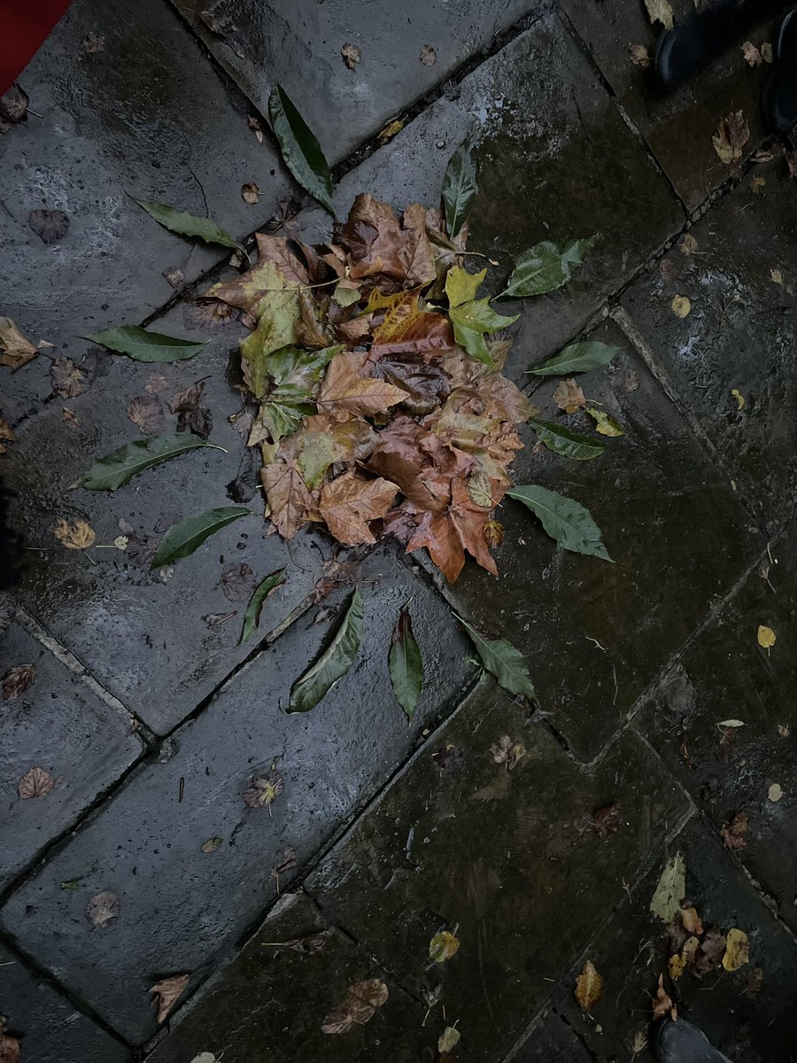 Today’s federation staff meeting @lucasvaleps @Ggibbonsps was @BrookmillPark. Despite the weather the staff explored the surroundings, looking for ways to use the space in their teaching. #outdoorlearning