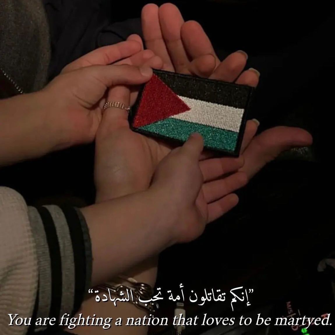 ArmedForcesIR09's tweet photo. You are a fighting nation 🇵🇸 https://t.co/ByOsHoF9BH