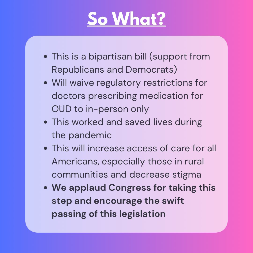 Albertus Project tweet media