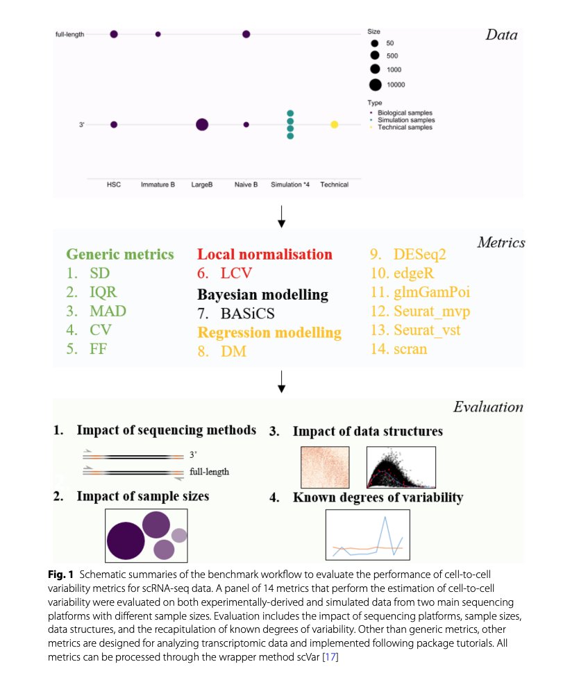 BioDecoded's tweet photo. Measuring cell-to-cell expression variability in single-cell RNA-sequencing data: a comparative analysis and applications to B cell aging | Genome Biology
https://t.co/3NMG5yND8M

#Bioinformatics https://t.co/yrPAHFoYZK