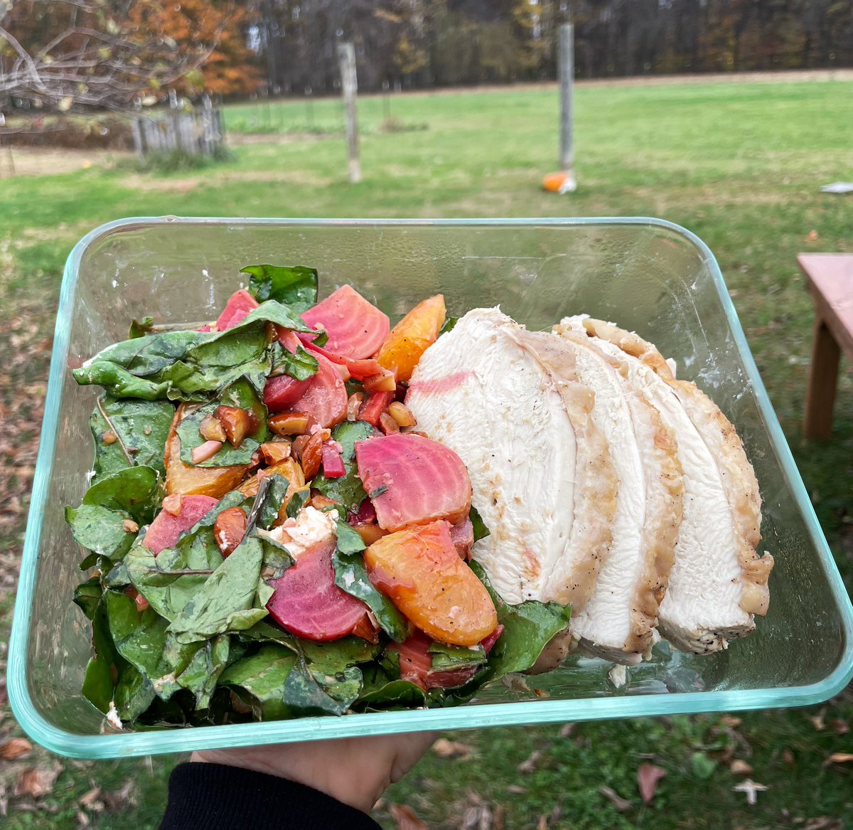 My beautiful lunch grown right here in that field 🥹 Homegrown turkeys with a beet root and beet green salad. Next year it will have our own home grown goat cheese. Still can’t believe we get to do this.
