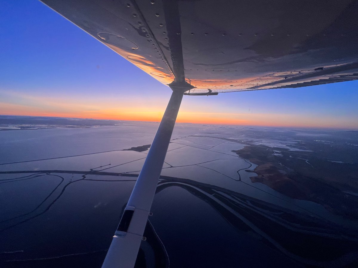 #WingWednesday from over Palo Alto