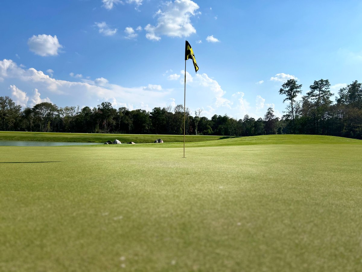 highlandpinesgc's tweet photo. Can you stay laser focused on our LAZER ZOYSIA GREENS?😎⛳🏌

#highlandslife #highlandpines #lazerzoysia #golf #golftexas #golflife #golfcourse #houstongolf #golfing #golfstagram #golfday #golfislife #portertx #highlandpinesgolfclub #thehighlands #golfaddict #thingstodoinhouston https://t.co/sFXcxcV5nL