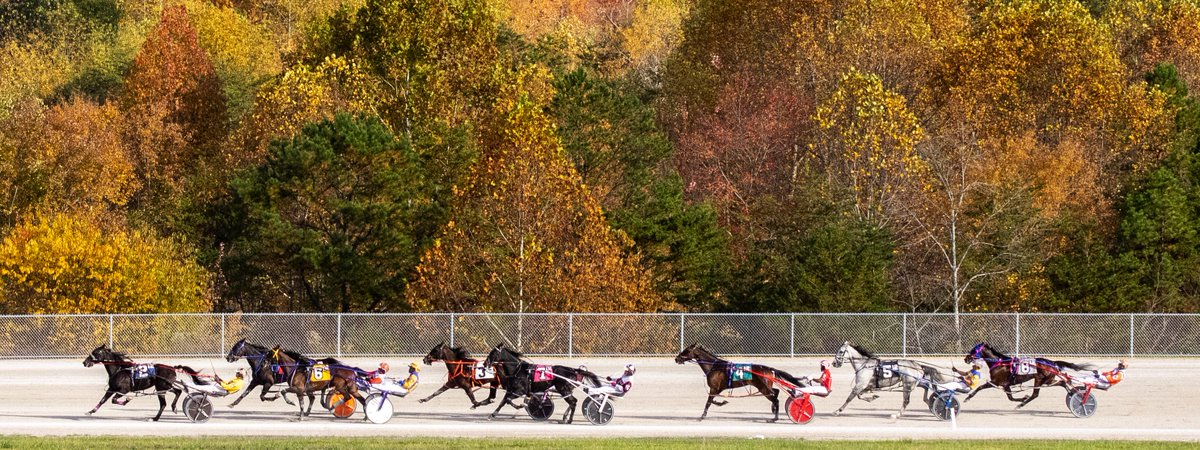 Kentucky Downs tweet media