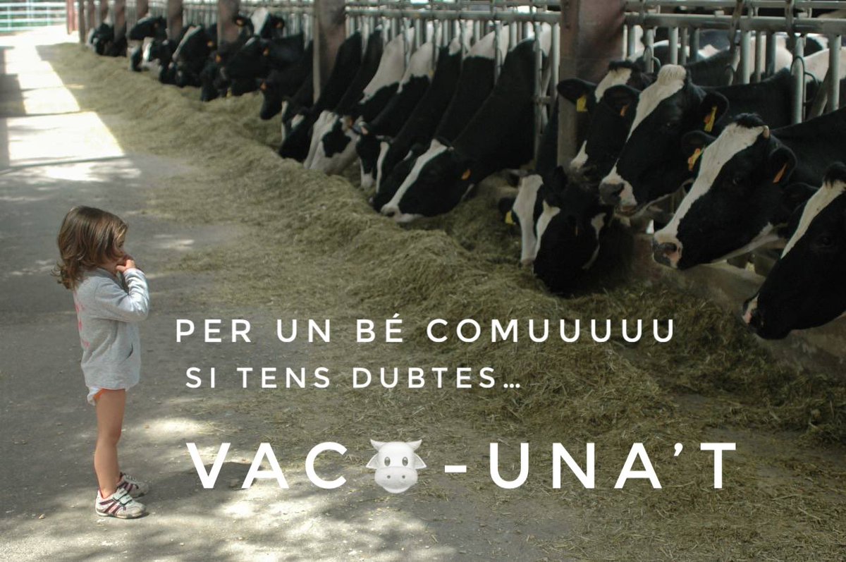 #vdevacunat 

<a href="/icscatcentral/">ICS Catalunya Central</a> 
<a href="/icscat/">ICS. Generalitat</a>