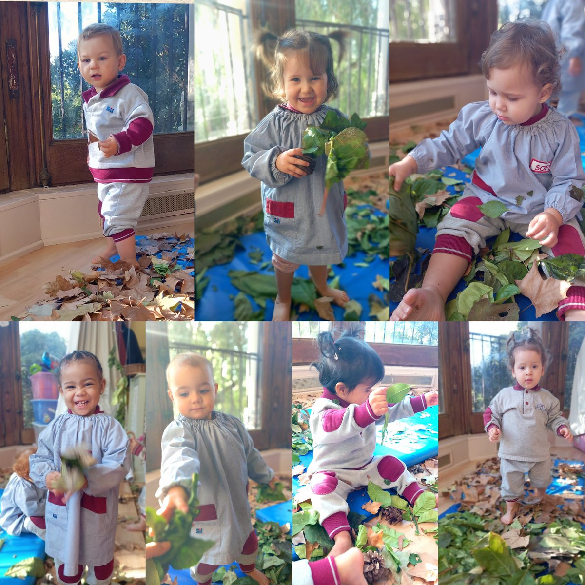 colegiosilbcn's tweet photo. Treballem la 🍁Tardor🍁 de manera sensorial caminant descalços per damunt de catifes plenes de fulles seques. Com hem gaudit!😍💜
#colegiosil #maternalsil #maternal #educacióinfantil #educacióninfantil https://t.co/6vceoihYCO