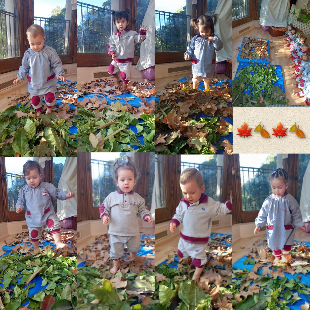 colegiosilbcn's tweet photo. Treballem la 🍁Tardor🍁 de manera sensorial caminant descalços per damunt de catifes plenes de fulles seques. Com hem gaudit!😍💜
#colegiosil #maternalsil #maternal #educacióinfantil #educacióninfantil https://t.co/6vceoihYCO