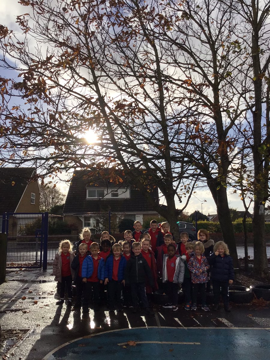 clifton_class2's tweet photo. Our class tree - Horse-chestnut tree. The season of Autumn. https://t.co/2Uf5vkruer