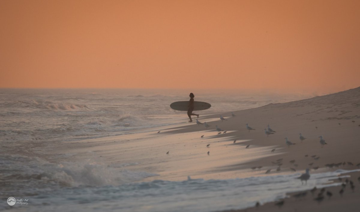 thebirdnerd7's tweet photo. chasing last light 🌅 
•
Gilgo Beach - August 9th, 2023
•
#gilgo #surf #surfing #surfer #surfers #surfsup #longisland #sunset #sunsets #sunsetsky #sunsetlovers #sunsetsurfing #sunsetphotography #surfphotography #surfphotos #surfphotographer #surfpics #surfpic #surfphotographers https://t.co/t3ks0Luit7
