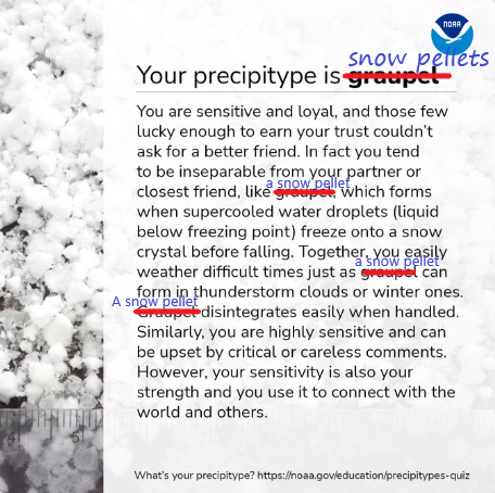 RyanVoutilainen's tweet image. Uncannily accurate... I may have got upset by the careless usage of the term "graupel" for my dear friend the Snow Pellet. 🌨️

I 🤍 Snow Pellets!

#TeamSnowPellets #Precipitype #SnowPellets #IHeartSnowPellets