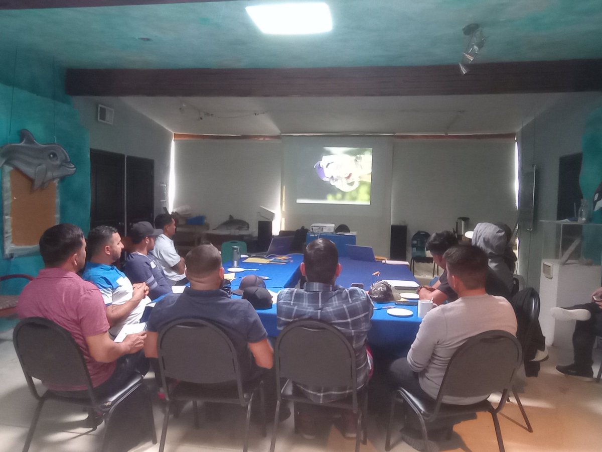 Ernest_Gastelum's tweet photo. Con apoyo de la dirección de pesca del estado de Sonora @SAGARHPASonora y la escuela del mar @cedo_mex se realiza la capacitación y certificación de buceo a 12 compañeros del varias comunidades del estado además de estudiar las especificaciones de la NOM_014 de la @STPS_mx https://t.co/o3Wyaerfcd