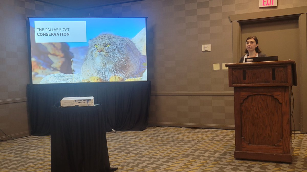 "From the steppe to the forest, to the gates of the city" –  post-doc Maria Vittoria Mazzamuto shares what she's learned in #Mongolia monitoring the amazing Pallas's cat with #TWS2023