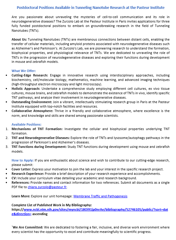 Zurzolo Lab (@zurzololab) on Twitter photo Post-doc position alert! My lab <a href="/institutpasteur/">Institut Pasteur, since 1887</a> is hiring post-docs for different projects related to #TNT research in #neurodevelopment, #neurodegeneration, and #fundamental cell biology. If you are looking for one, or know someone, feel free to contact me. Spread the word! Post-doc position alert! My lab <a href="/institutpasteur/">Institut Pasteur, since 1887</a> is hiring post-docs for different projects related to #TNT research in #neurodevelopment, #neurodegeneration, and #fundamental cell biology. If you are looking for one, or know someone, feel free to contact me. Spread the word!