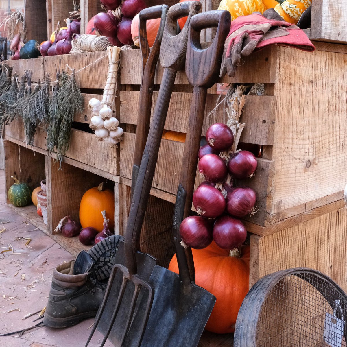 Have you seen our #AutumnDisplay yet? 🎃

We have 48 varieties of #pumpkin to see, alongside fruits, veggies, flowers and beans grown just meters away in our #KitchenGarden.

The display is available until Nov 17 🍂

📸 Bob Fowler
#AutumnVibes #FallDecor #PumpkinDisplay