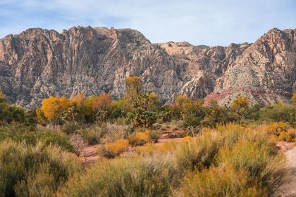 KevinJanison's tweet photo. No such thing as a bad day in Red Rock Canyon.  Krisztina Bessenyei pics. @friendsrrc @KTNV https://t.co/8XgvKTulhK