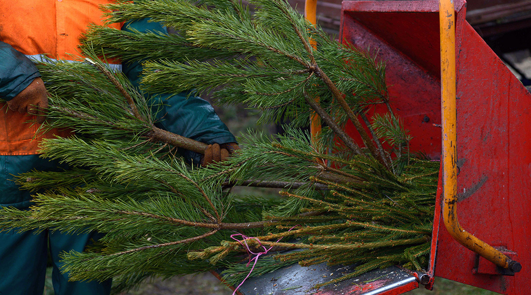 ComplianceBC's tweet image. To reduce your exposure to smoke, consider alternatives to #openburning of woody debris such as chipping, mulching, composting or disposal through local green recycling centres or landfills. gov.bc.ca/openburning