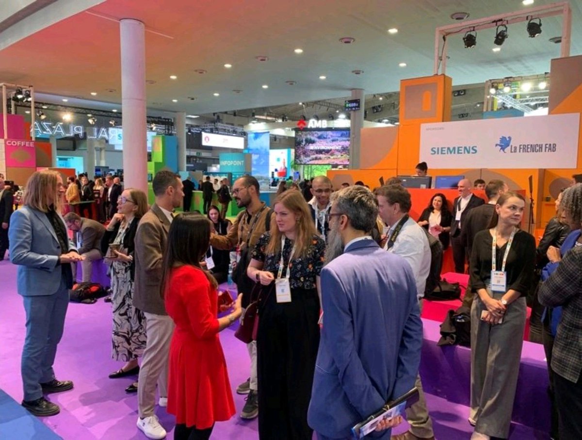 Sam Chapman tweet media