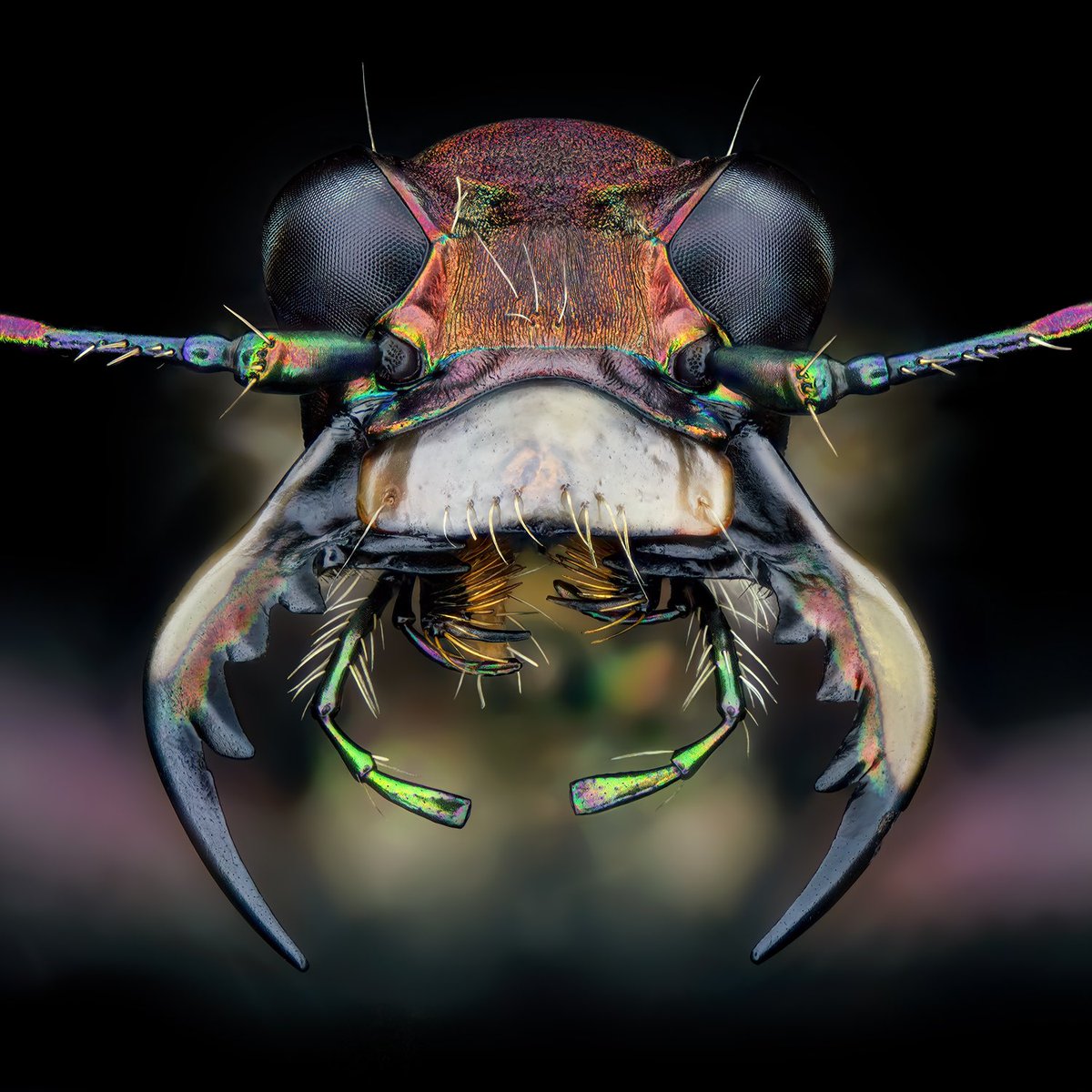 Thorben Danke tweet media