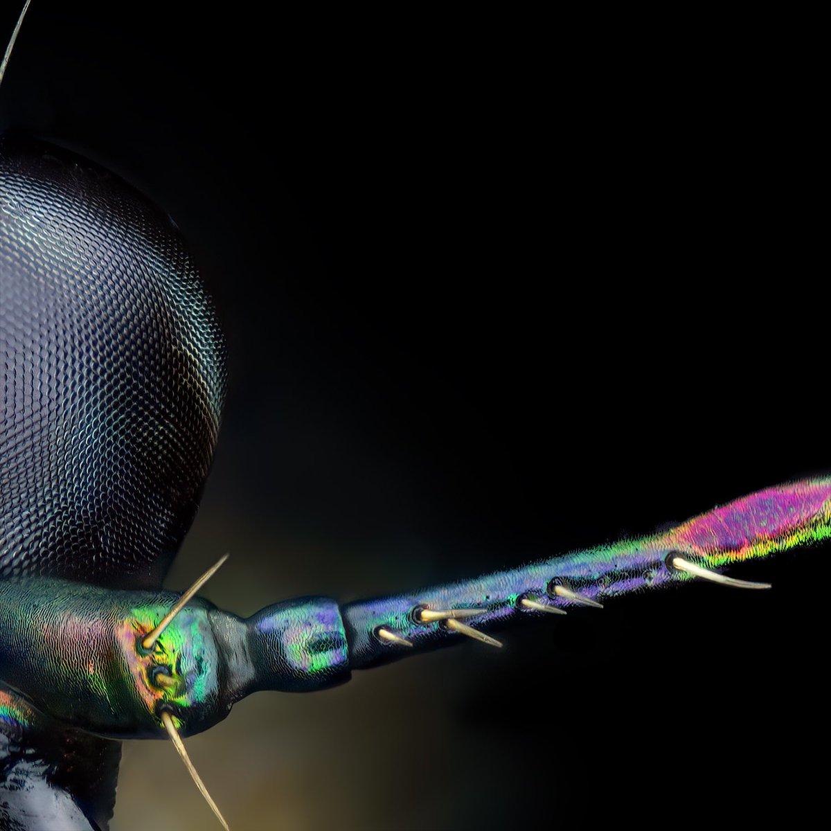 Thorben Danke tweet media