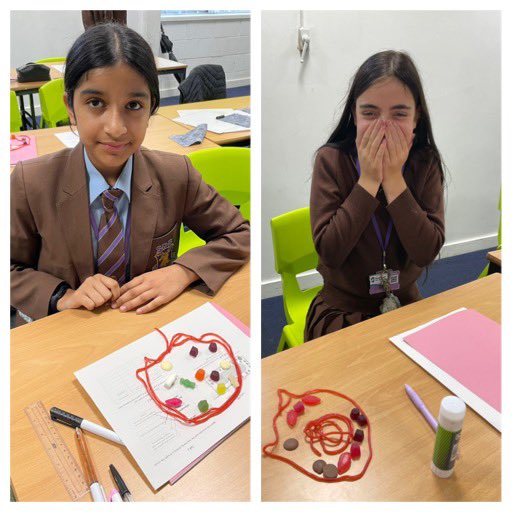 tsc_science's tweet image. Following on from this morning…some more fantastic animal and plant cell modelling from Mrs Melling’s 7KSc3b class…she had no spare sweets for lunch! 🙃👎🏻🌱🐾🍬