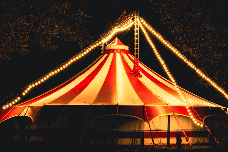 "Deev hasn’t yet visited the carnival, although it’s been weeks since the  oil cloths and painted boards tumbled out of trucks and shook  themselves out."

-from Monica Wang's new short story, "Electric Circus," just posted to our website for you to read!

plenitudemagazine.ca/electric-circu…