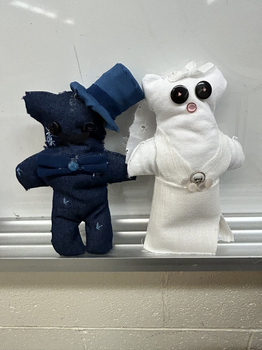 MsCareyPE1's tweet photo. @hthtigers Gr.9 Home Ec students decided on formal teddy attire for their hand sewn bears! 🧸 https://t.co/HWw83akiJ2