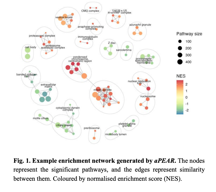 aPEAR: an R package for autonomous visualisation of pathway enrichment networks | Bioinformatics
academic.oup.com/bioinformatics…

#Bioinformatics