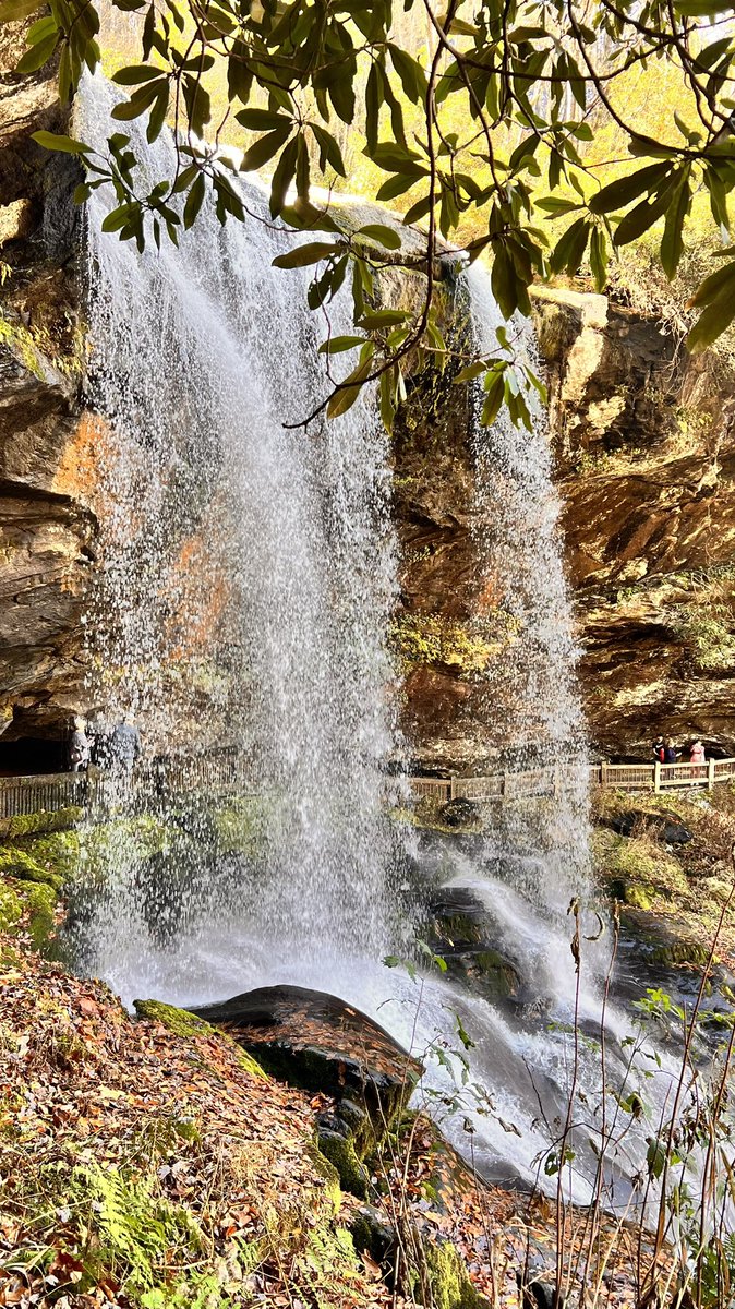 Waterfalls for days! 

#Waterfall #chasingWaterfalls #NatureLover #NaturePhoto #NaturePhotograhpy