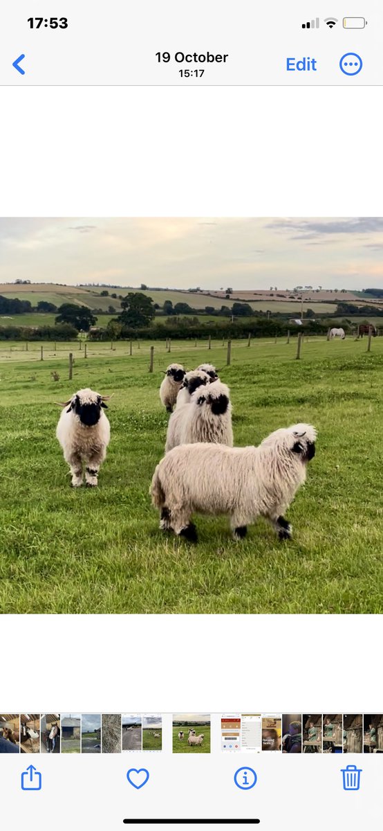 Simon Hogg tweet media