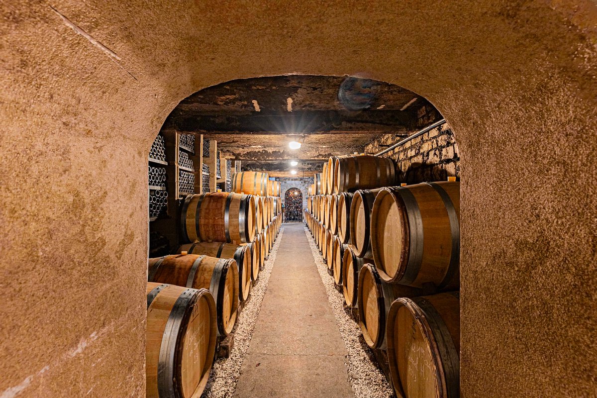 KyonyxPhoto's tweet photo. Série "Caves aux trésors" Rions ensemble
Les caves du @DomaineRionAetB regorgent de trésors non seulement pour le palais mais aussi pour les yeux 🤩📷.
---
Série publiée chez Hans Lucas :
https://t.co/qYUR9czZKw
---
#cave #caveavin #domainerion #vosneromanee #magnifiquefrance https://t.co/joe5jw6yrh