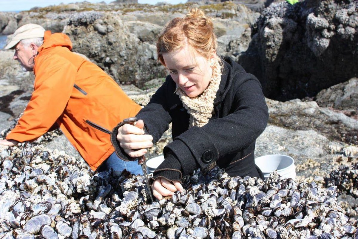 Follow the Water tweet media