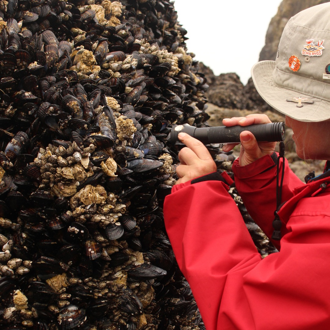 Follow the Water tweet media