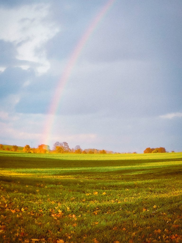 Some photography of the day by me! :)

Likes and retweets appreciated 

Also joined <a href="/BrutalTeam37/">Brutal Team 37</a> :>