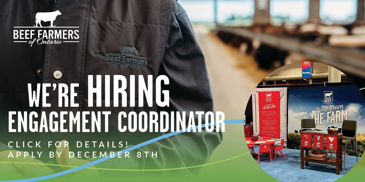 BeefFarmersON's tweet photo. Career Alert! We are looking for an ambitious, energetic and collaborative Engagement Coordinator to join our communications team. Details here: https://t.co/oEq2AujmAD https://t.co/9sLw8XJ99C