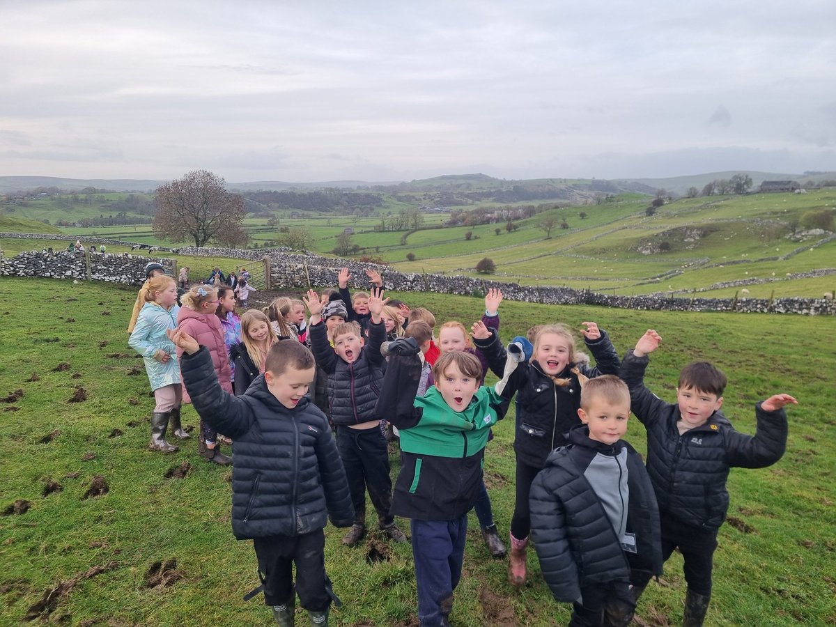 Year 2 HighStPrimary tweet media