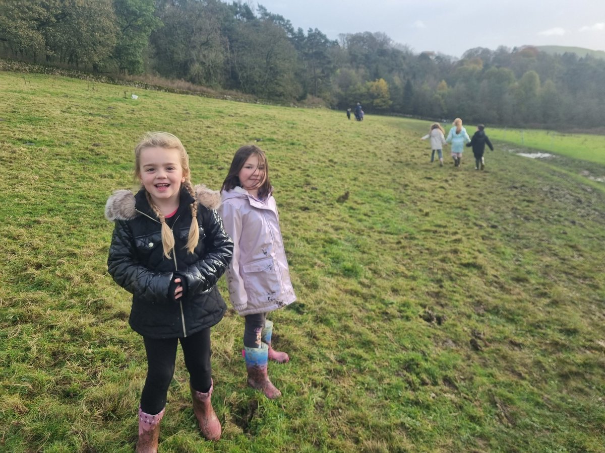 Year 2 HighStPrimary tweet media