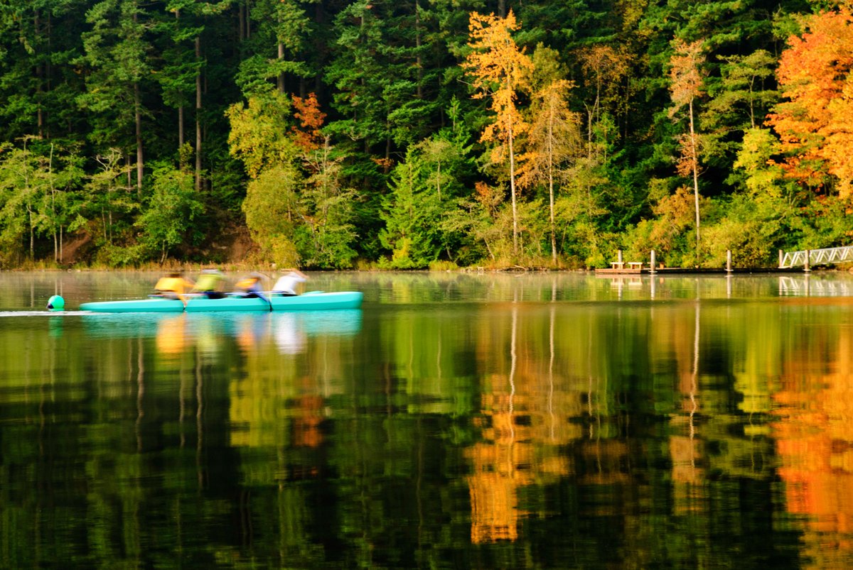 Bellingham Parks & Recreation tweet media