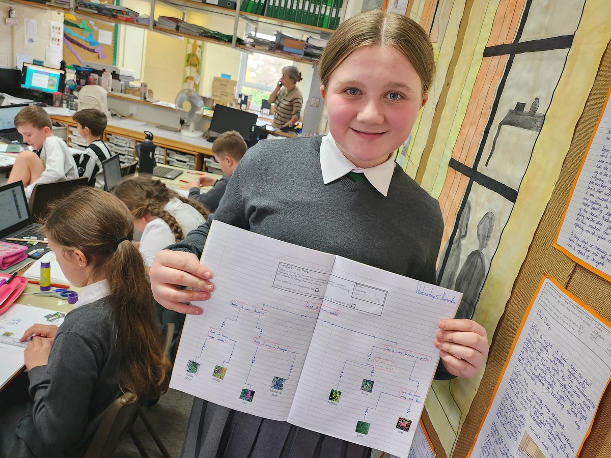Y6EngMartyrs's tweet photo. Classifying animals, minibeasts and plants today #ScienceAtEM #classification https://t.co/9azt7tvJdJ