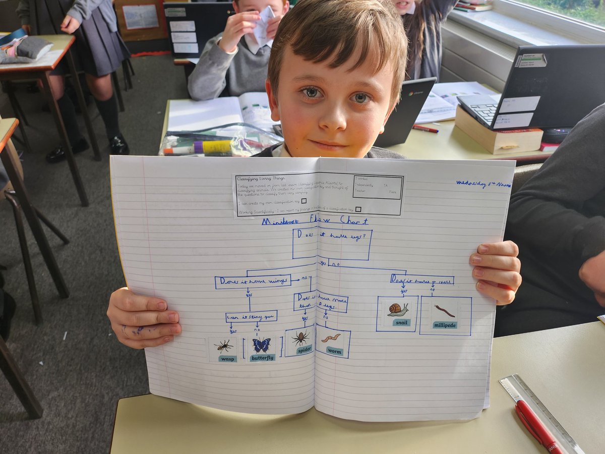 Y6EngMartyrs's tweet photo. Classifying animals, minibeasts and plants today #ScienceAtEM #classification https://t.co/9azt7tvJdJ
