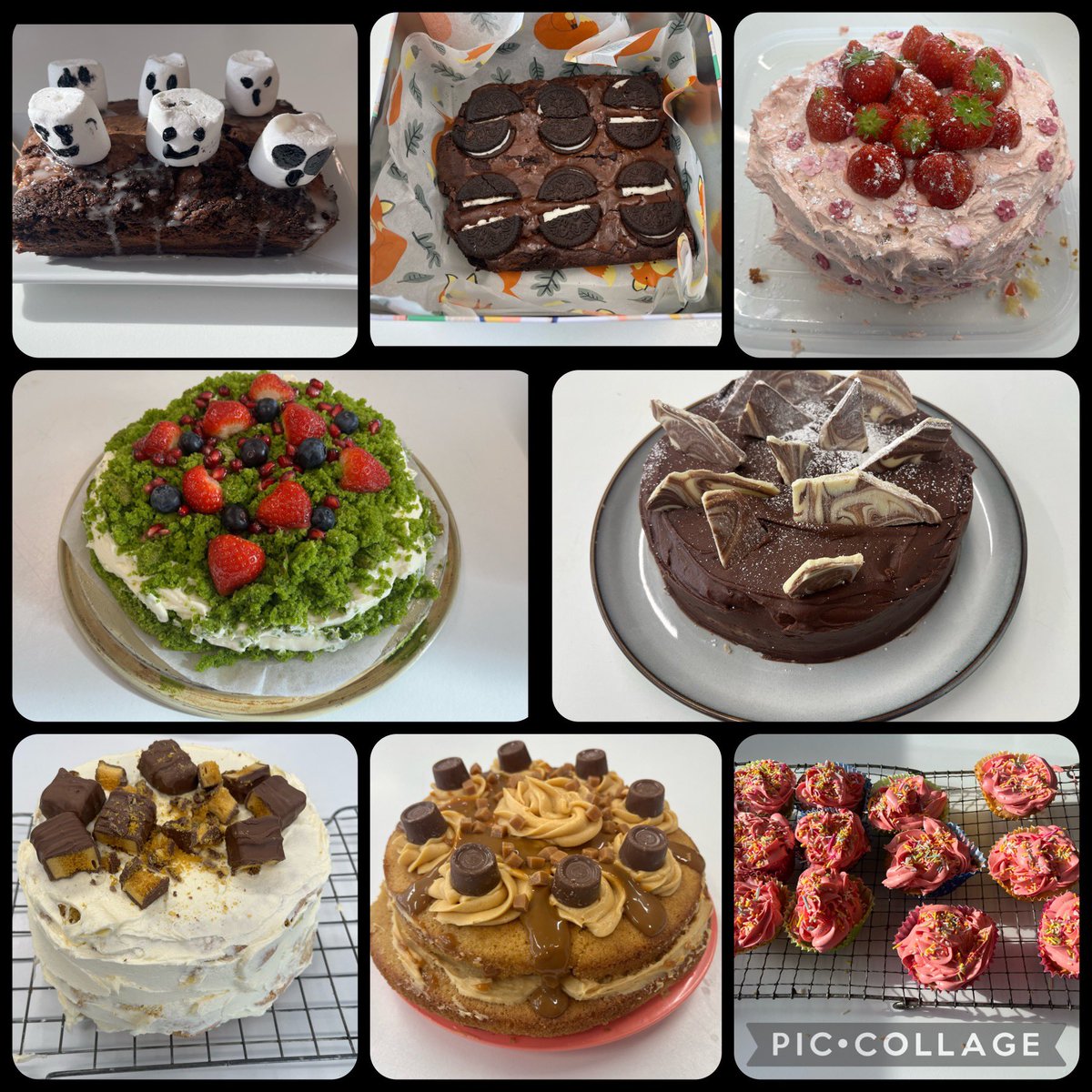 CNSFood's tweet photo. More Cardinal Newman Bake Off 2023 entries. https://t.co/Fti6PfcChc