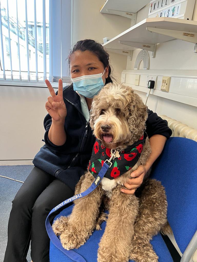 Had a great day today, making lots of people smile…they loved my Poppy Bandana too.. 🐕‍🦺🐾🤗 

#poppy #australianlabradoodle #australianlabradoodlesofinstagram #PATdog #volunteer #PATVolunteers #petsastherapy #petsastherapyuk #therapydog #FrimleyHealthFamily #Poppy