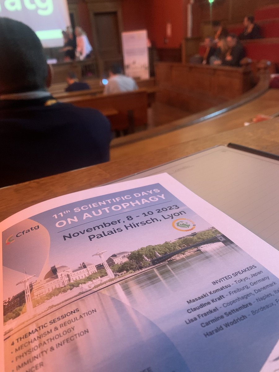 Anaïs Franco tweet media