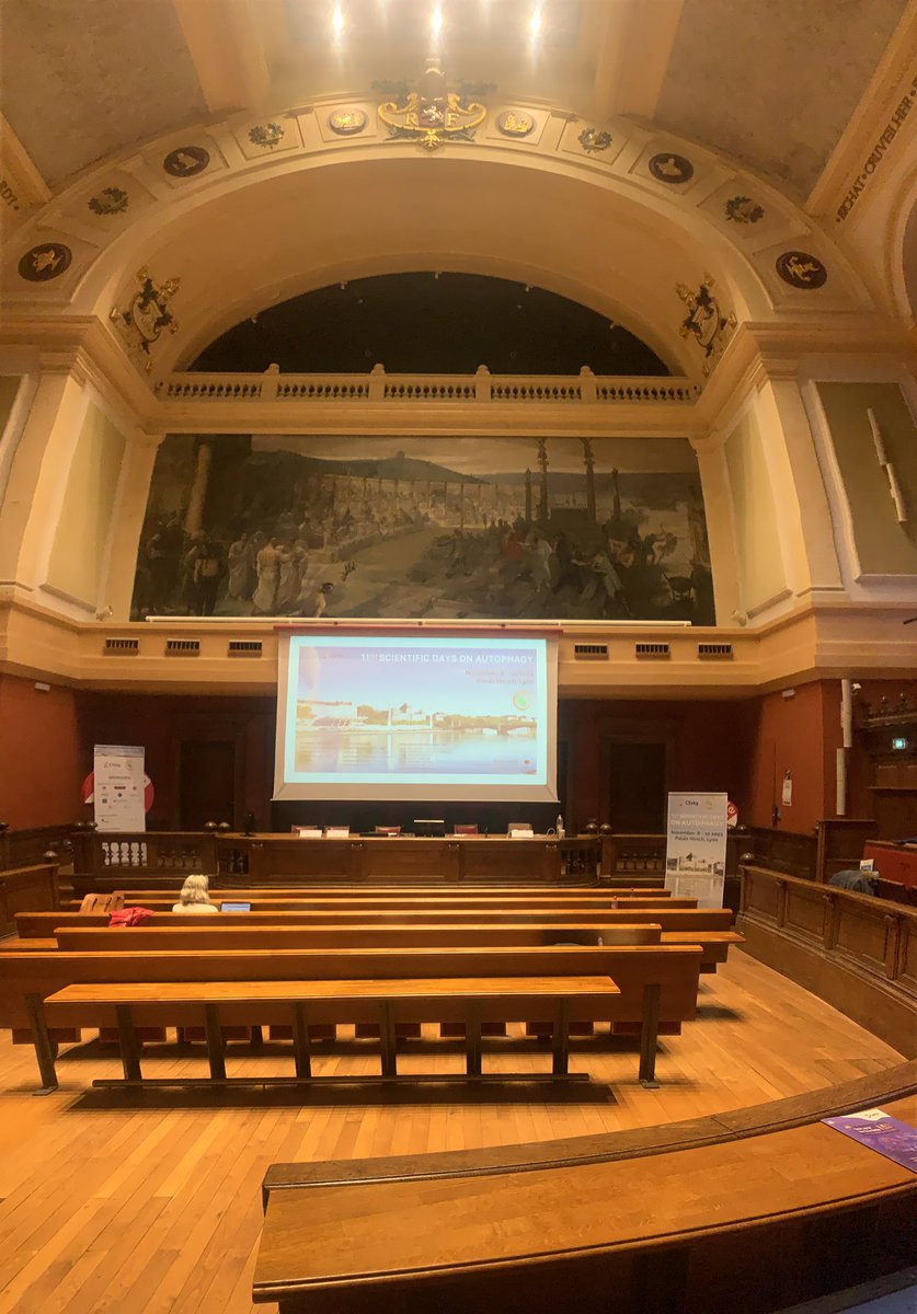 Anaïs Franco tweet media