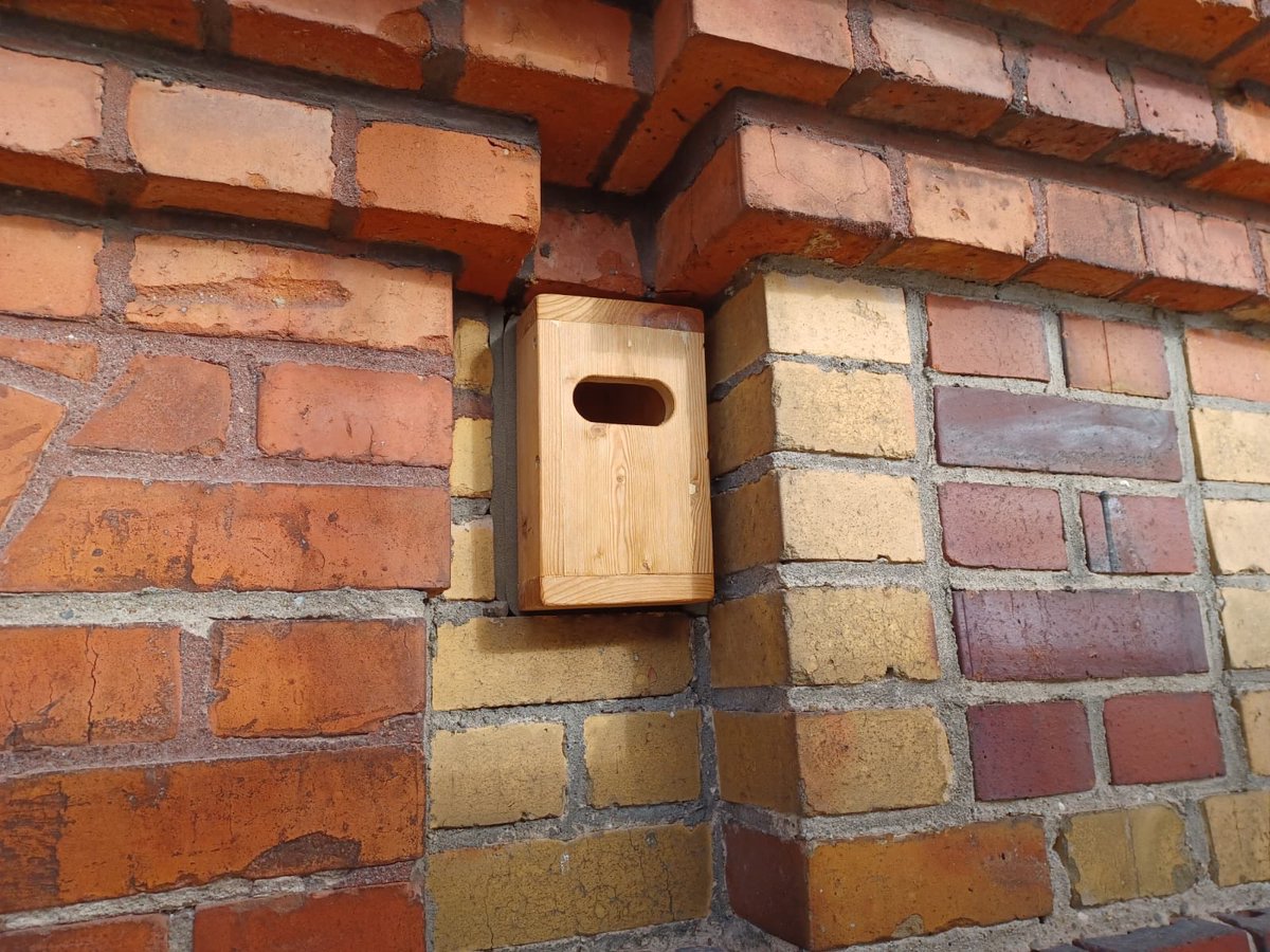 #BaustellenMittwoch  
...schon wieder zwei Wochen um und viel ist passiert auf unserer
#Kulturbaustelle. Die Dachkonstruktion im Nebengebäude nimmt Form an u.
auch unsere gefiederten Freunde können ein geschütztes Plätzchen in
luftiger Höhe finden #museum #forst #lausitz #kultur