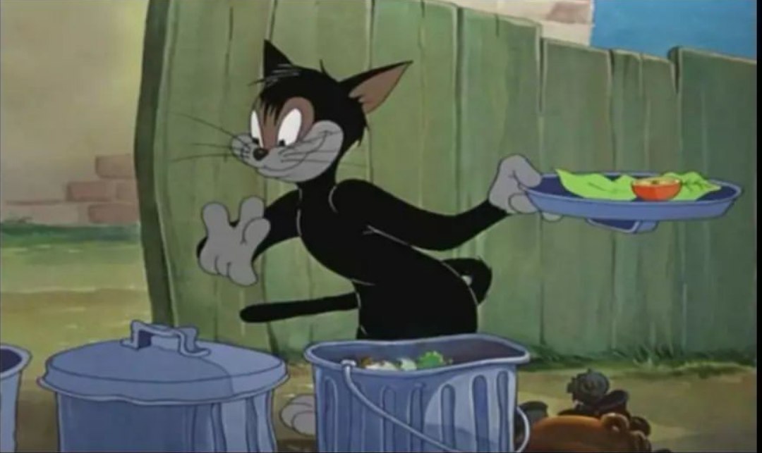 تصور مامانم وقتی بهش میگم بیرون غذا خوردم: