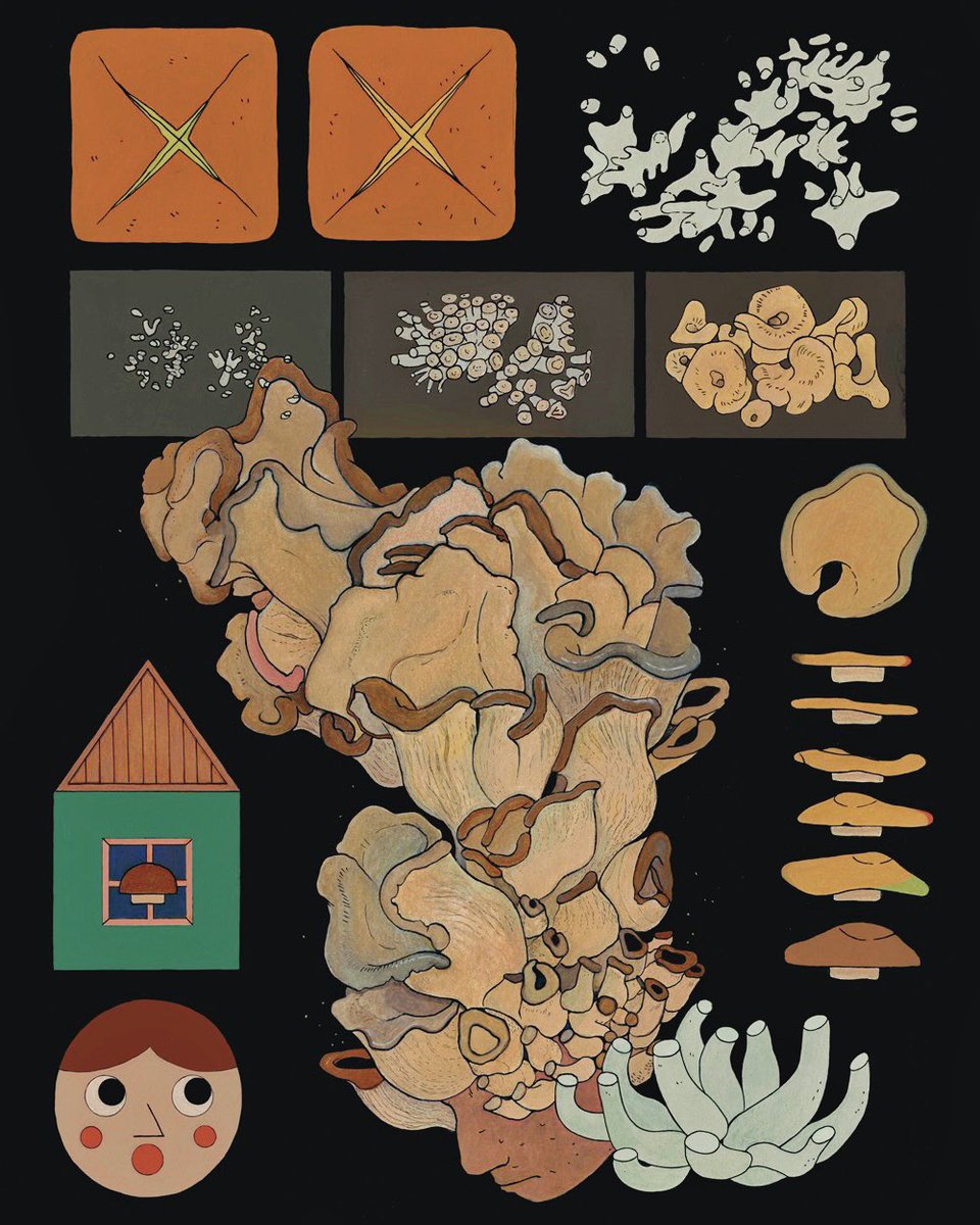 Blue Oyster Mushroom Kit
Acrylic on board
2023
Client: TALKROT