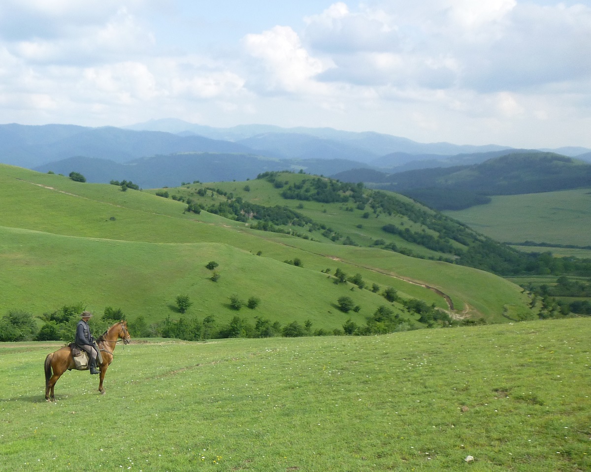 rideworldwide1's tweet photo. Message from Georgia this summer - “I'm having the most fantastic time and this is one of the best rides I have ever been on!! Thank you so much for making it possible and what a discovery on your part - Georgia is pure magic” https://t.co/e5WnpVjvWD https://t.co/GlDip4AZIb