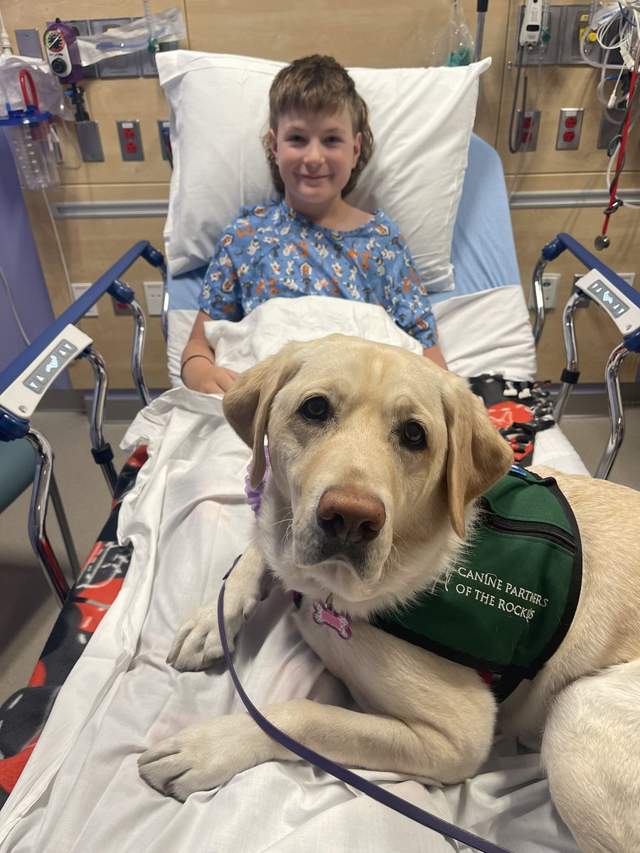 <a href="/ChildrensColo/">Children's Hospital Colorado</a> Thank you Salida, therapy dog at Colorado Springs location for making the IV stick so much easier! Everyone at Children’s has been amazing!!! #ColtonsCrew