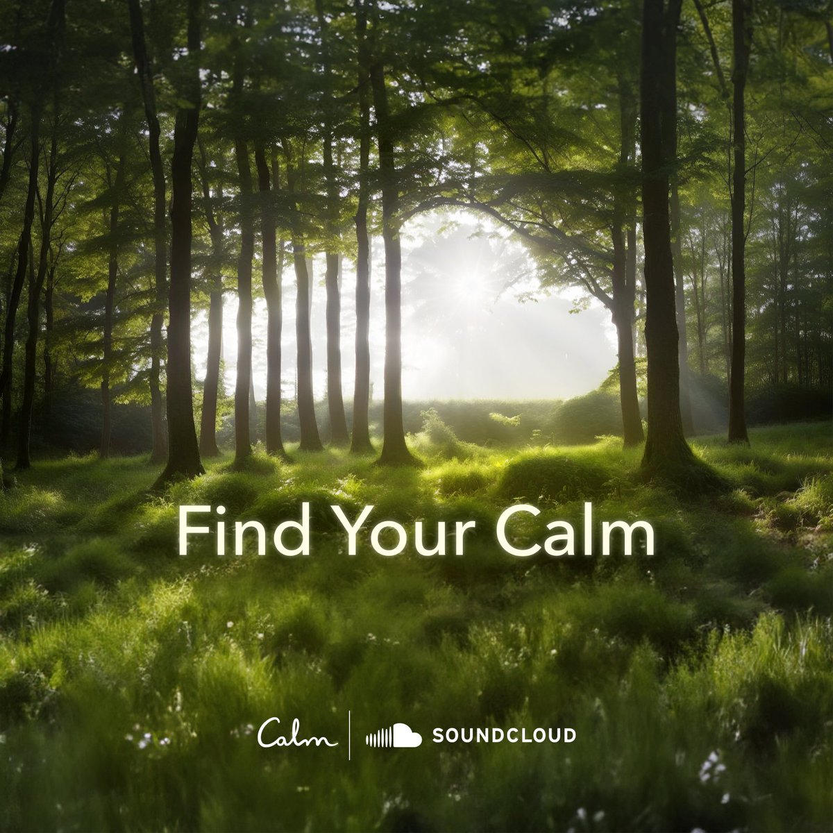 Stress is never good for creativity 🙇 We're excited to introduce @calm as part of our Next Pro benefits to help you stress less, live better, and find your calm. 🔗 Learn more: community.soundcloud.com/playbook-artic…